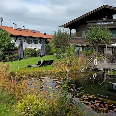 Maximilian - Feines Am *